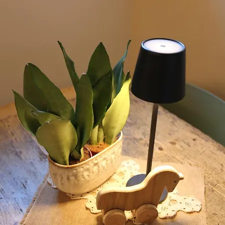 公寓 L'abri En 奥斯塔